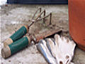 How To Take Care of Your Gardening Tools