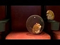 Rhino (Bolt Hamster) on High School Musical