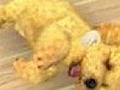 Nintendogs + Cats - Japanese Pup Rubbing Trailer