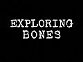 Exploring: Bones