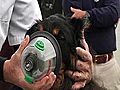 Denver Outfits Its Trucks With Pet Oxygen Masks