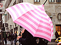 On the Street   Spring Trench Coats