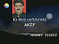 Kurtlar Vadisi Akif