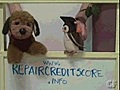 Tale of the Credit Score Chart