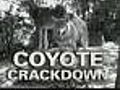 Rye Holds Meeting About Aggressive Coyotes