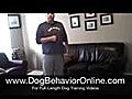 Dog Training: Keep Dog Off Couch