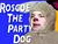 Roscoe The Party Dog: MySpace - video