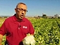 &#039;Farmworkers&#039; shot by Mark Villareal