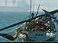 Video: Whale Vs. Boat