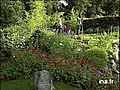 Présentation du jardin japonais de Takano