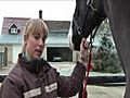 How to Make your Horse Coat Shine