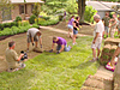 Laying Sod