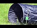 Agility Tunnel 5 Meter FCI Standard