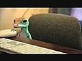 Scary Maze Game Prank Gecko