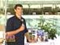 Phelps Returns Home, Picks Up Foundation Donation