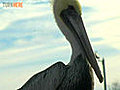 Kick Back on Fernandina Beach, Florida