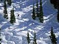 Ski tips for skiing moguls: finding a line