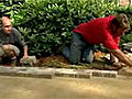 How to Lay a Brick Walkway