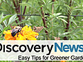 Earth: Easy Tips for Greener Gardens