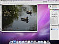 How to Use Photoshop CS5 Basic Tools