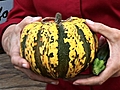 How to Cut Hard Squash