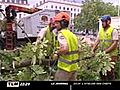 Plus de Marronniers  place Bellecour ! (Lyon)