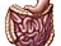 Small Intestine Scope