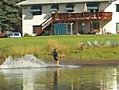 Dog Sled Water Skiing