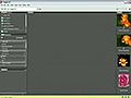 How to Move and Delete Images in Adobe Bridge CS3