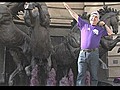 Stavros Flatley celebrates International Purple Day