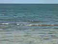 Royalty Free Stock Video HD Footage Scenic View of the Ocean in the Florida Keys