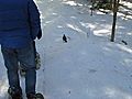 Ben and Jerry’s Snowshoe Tour - Grouse Tagalong