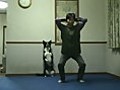 Funny Dog Workout