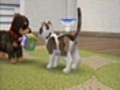 Nintendogs + Cats: Toy Poodle & New Friends - Cat and a Dog Gameplay Movie [3DS]