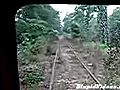 Overgrown Railroad