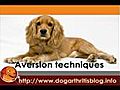 Dog Arthritis PT Series 2 - Weights