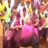 2 dead,  over 50 injured in TN Jallikattu