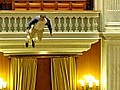 Mann stürzt sich vom Balkon in den Parlamentssaal