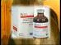 Vitamin Incorrectly Made For Dead Polo Ponies