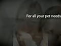 1-800-PetMeds Coupons,  Coupon Codes, Promotional Codes and Promo Codes