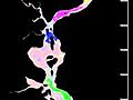 Pumicestone Passage Hydrodynamic model E: Pumicestone Dye Injection - tidal excursions (no image)