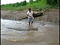 Nourrir les crocodiles