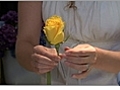 Wire and Tape a Rose for a Boutonniere