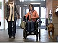 How to Select an Assistance Dog Agency