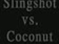 Slingshot vs Coconut