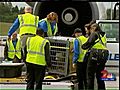 VIDEO: Polar Bear Cub Flies South to New Home