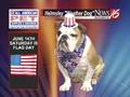 Helmsley the weather dog: Getting ready for Flag Day