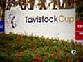 Tavistock Cup - Tonight 7PM