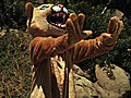 Promos - Eagleheart: Danger: Mountain Lions