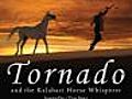 Tornado and the Kalahari Horse Whisperer (2009)